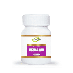 Ayurvedic Support for Kidney Health